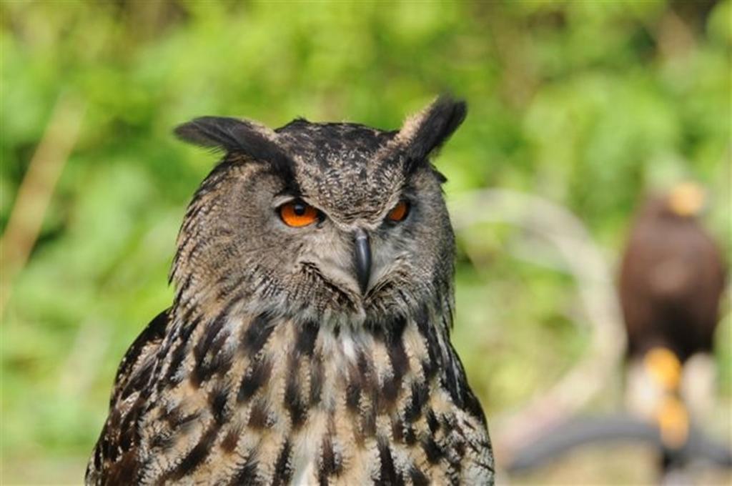 Buitengoed De Panoven Zevenaar Kültér fotó