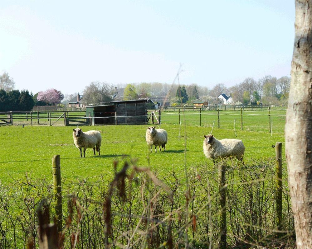 Buitengoed De Panoven Zevenaar Kültér fotó